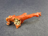 Rare Natural Red Coral From Italy - 2.2" - 3.6 Grams