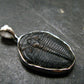 Trilobite Silver Pendant from USA - 1.0" - 2.07 Grams