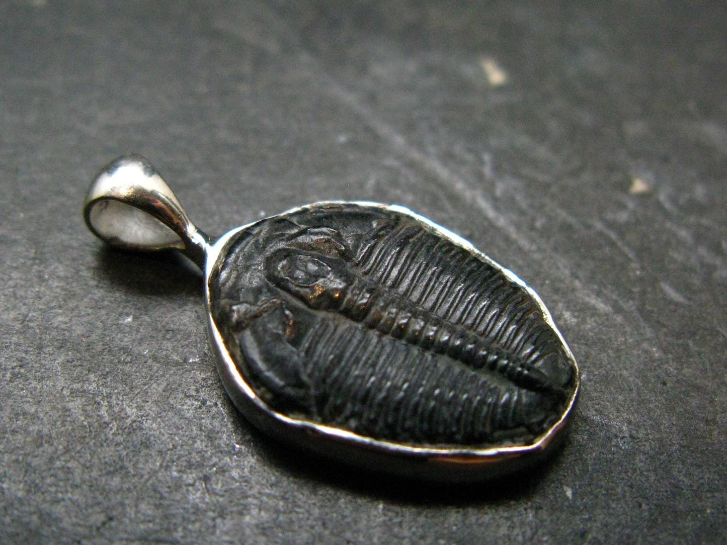 Trilobite Silver Pendant from USA - 1.0" - 2.07 Grams