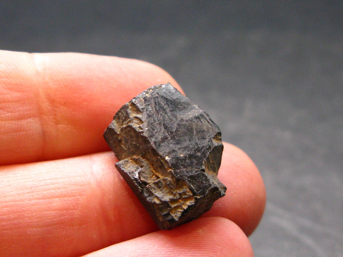 Columbite Crystal From Brazil - 0.6" - 5.68 Grams