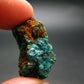 Very Nice Dioptase Cluster from Congo - 1.0" - 7.58 Grams