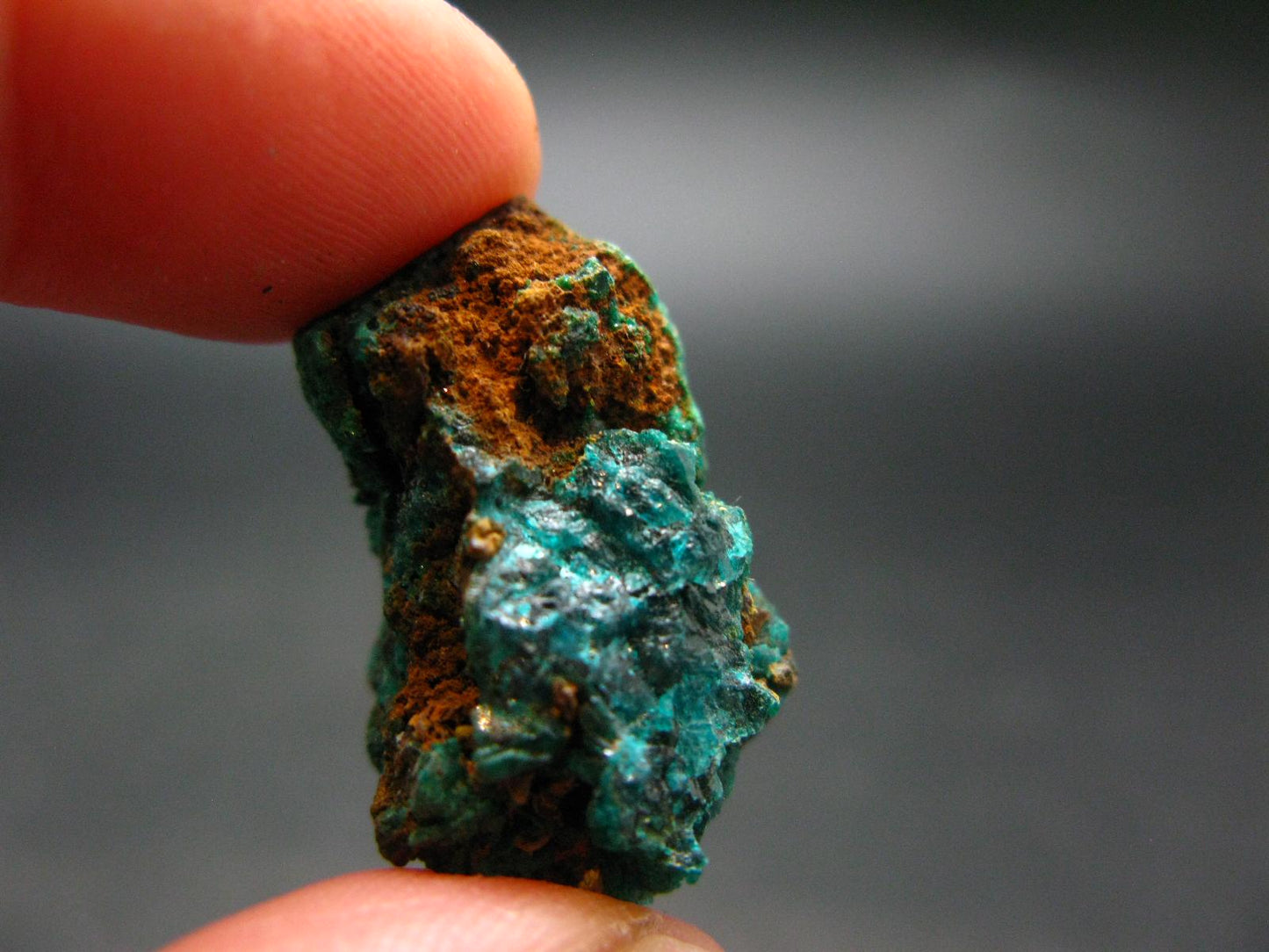 Very Nice Dioptase Cluster from Congo - 1.0" - 7.58 Grams