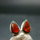 Ammolite Amolite Sterling Silver Stud Earrings From Canada - 1.1"