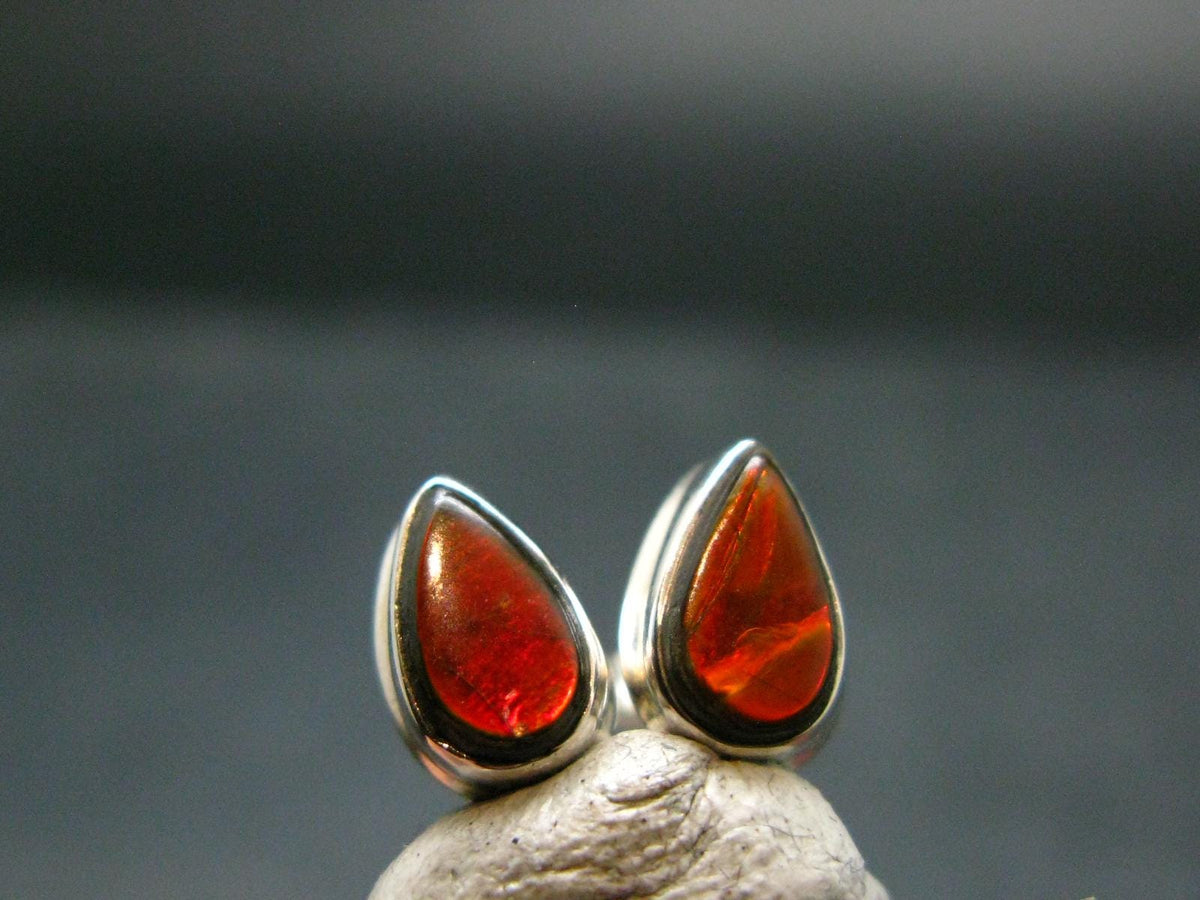 Ammolite Amolite Sterling Silver Stud Earrings From Canada - 1.1"