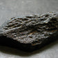 Rare Large Black Tibetan Tektite Raw Piece from Tibet - 2.3" - 28.56 Grams