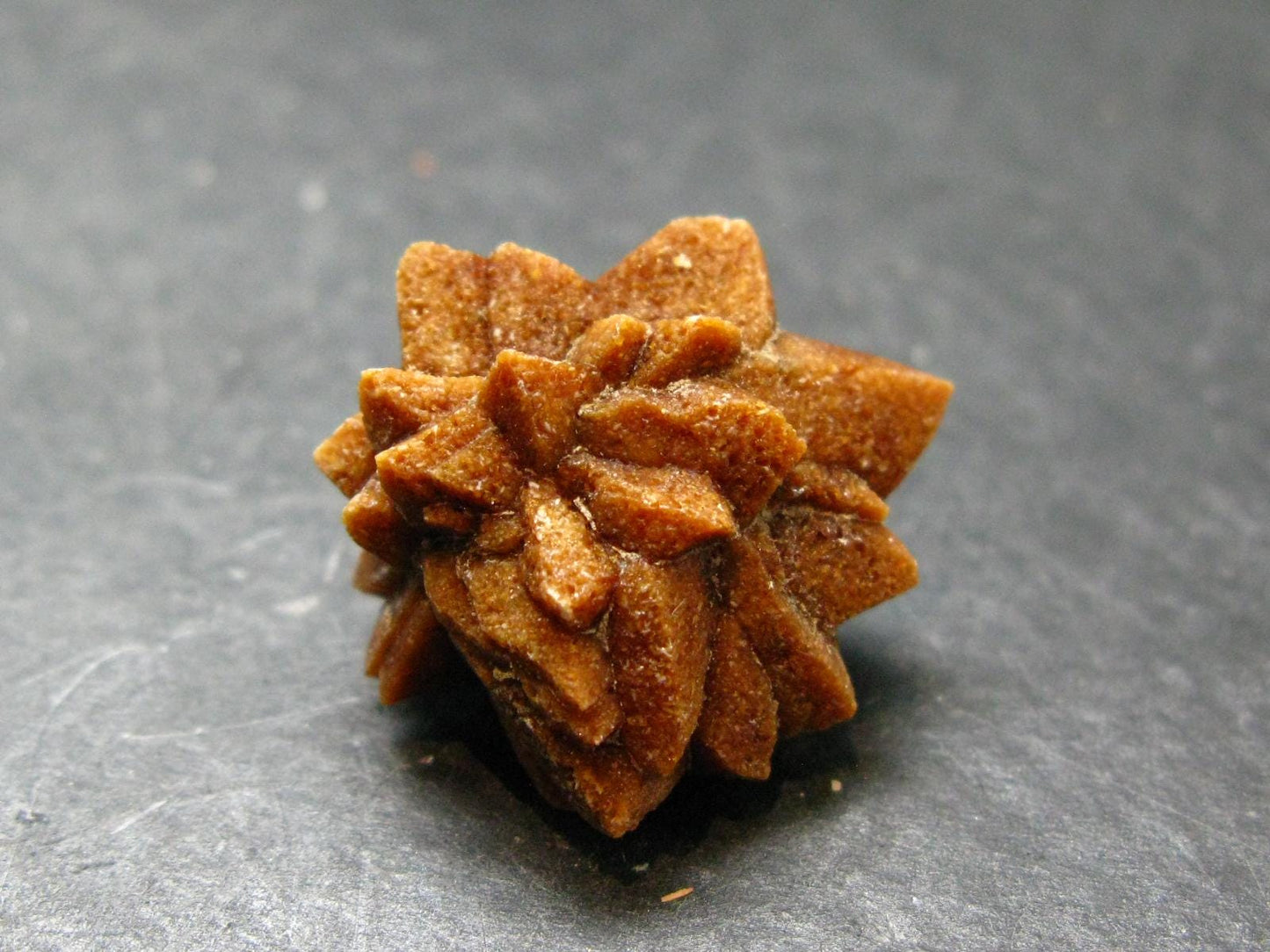 Glendonite (Ikaite after Calcite) Crystal From Russia - 1.0" - 7.61 Grams