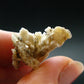 Rare Herderite Crystal from Brazil - 2.27 Grams - 0.9"