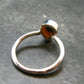 Natural Whole Polished Agatized Ammonite Cleoniceras Sterling Silver Ring from Madagascar - 1.88 Grams - Size 5