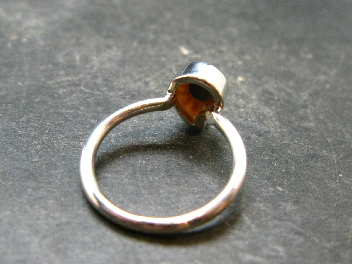 Natural Whole Polished Agatized Ammonite Cleoniceras Sterling Silver Ring from Madagascar - 1.88 Grams - Size 5