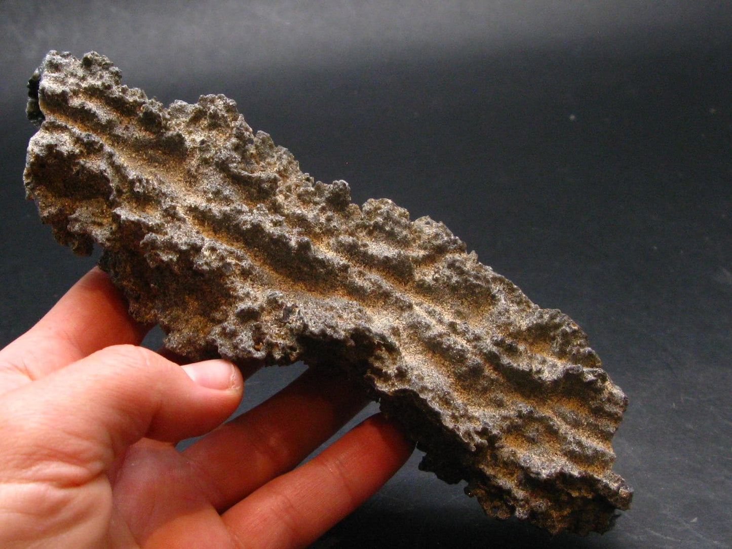 Large Fulgurite Lightning Rock From Sahara Desert - 6.2"