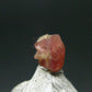 Rare Pezzottaite Crystal from Madagascar - 0.57 Carats - 0.3"