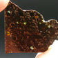 Large Admire Meteorite Pallasite Olivine Slice From Kansas, USA - 1.6" - 7.21 Grams
