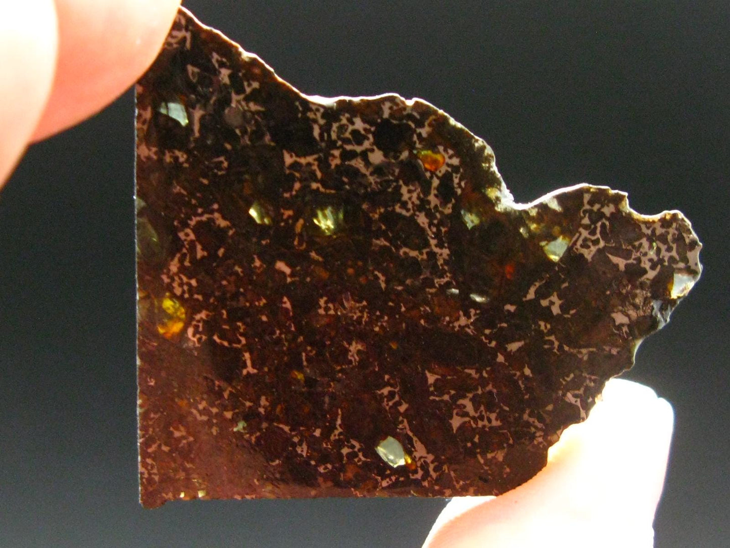 Large Admire Meteorite Pallasite Olivine Slice From Kansas, USA - 1.6" - 7.21 Grams
