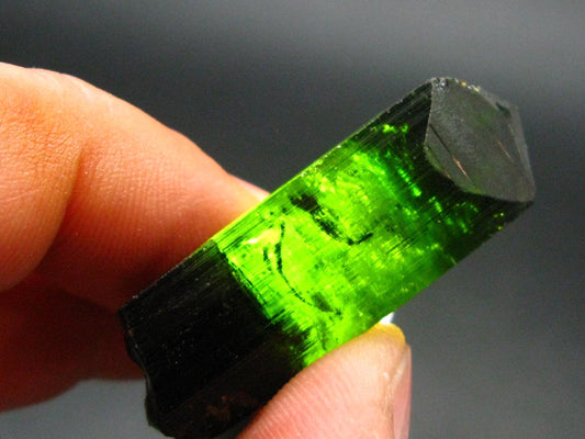 Green Tourmaline Crystal From Brazil - 1.6" - 70.00 Carats