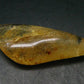 Insects in Amber Piece From Colombia - 6.67 Grams - 2.1"