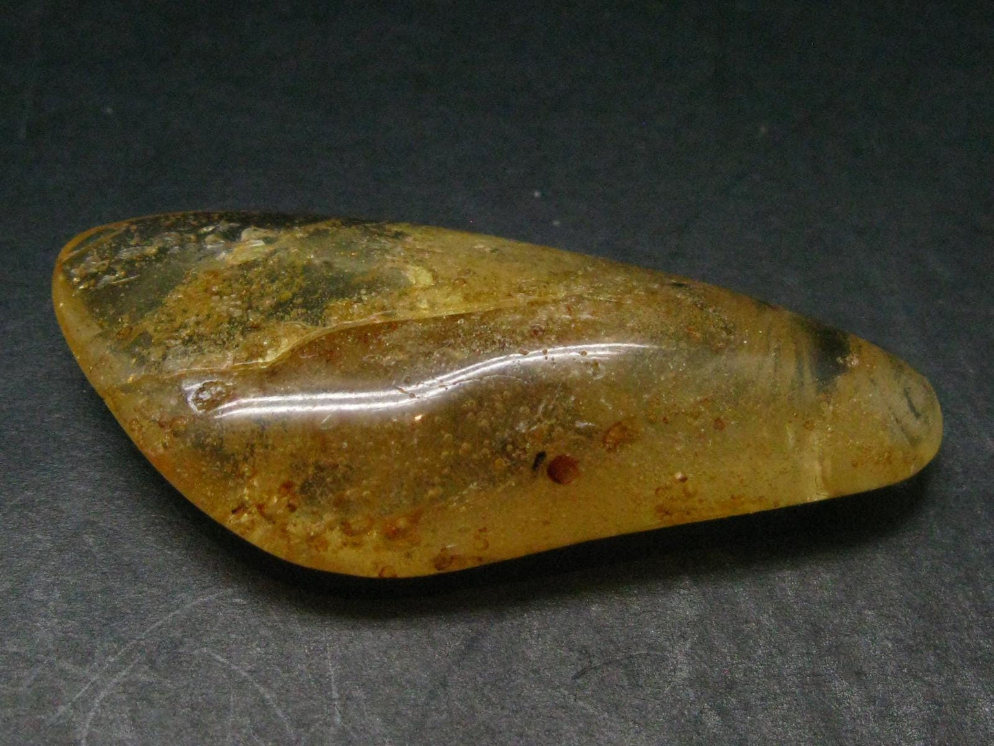Insects in Amber Piece From Colombia - 6.67 Grams - 2.1"