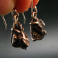 Raw Campo Del Cielo Meteorite Earrings In Silver From Argentina - 4.41 Grams
