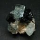 Gem Aquamarine & Black Tourmaline Crystal From Erongo Namibia - 2.1"