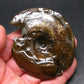 Ammolite Ammollite Fossil From Alberta Canada - 3.2" - 94.57 Grams