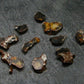 Lot of 10 Sericho Pallasite Meteorite Pieces From Kenya - 4.23 Grams