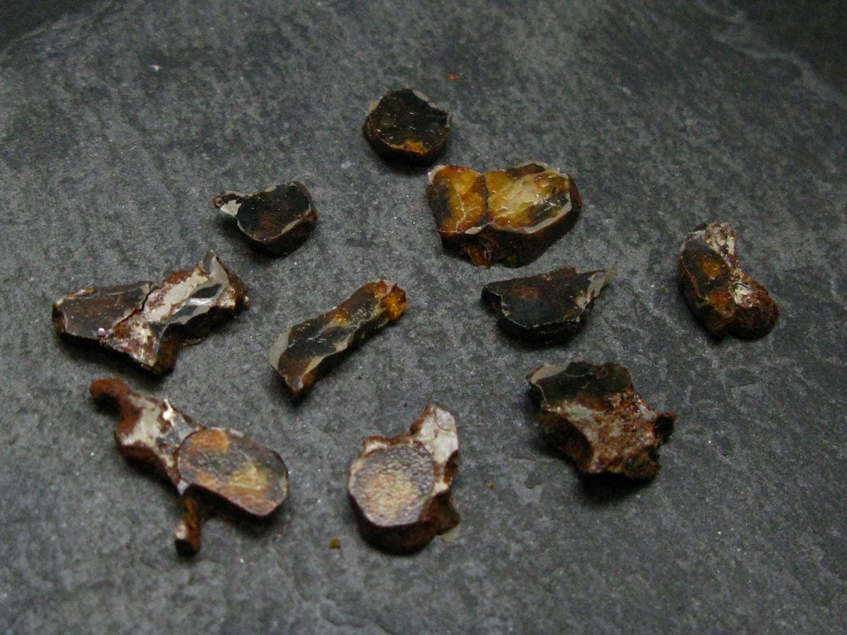 Lot of 10 Sericho Pallasite Meteorite Pieces From Kenya - 4.23 Grams