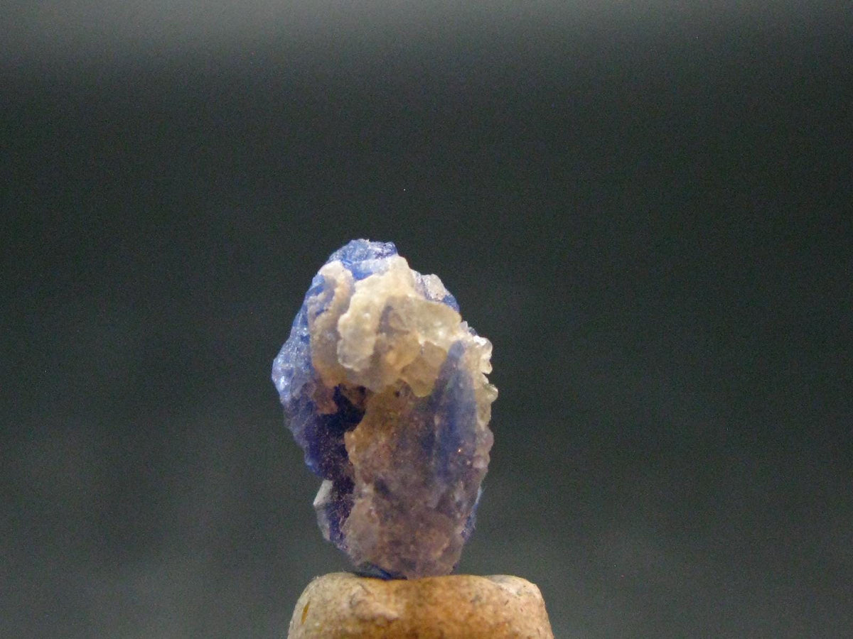 Fine Rare Carletonite Crystal From Mt. St. Hilaire Canada - 0.6" - 0.82 Grams