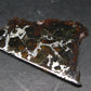 Large Brahin Meteorite Pallasite Olivine Slice From Belarus - 2.4" - 8.82 Grams