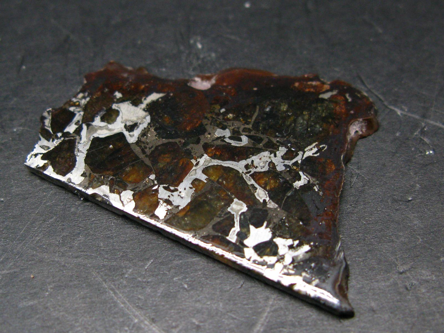 Large Brahin Meteorite Pallasite Olivine Slice From Belarus - 2.4" - 8.82 Grams