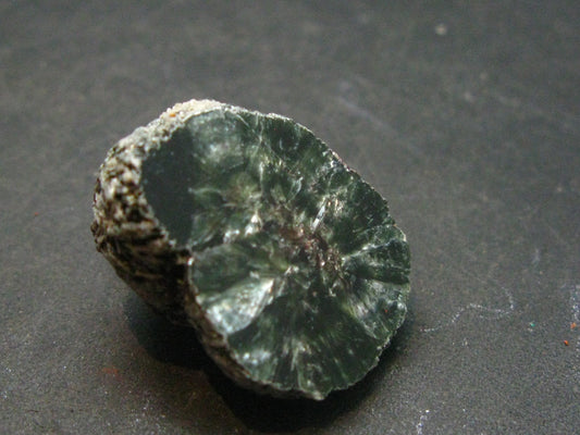 Nice Polished Seraphinite Clinochlore Stalactite Crystal From Russia - 0.8"