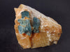 Rare Blue Apatite Cluster from Russia - 3.3" - 172 Grams