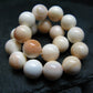 Conch Shell Genuine Bracelet ~ 7 Inches ~ 10mm Round Beads