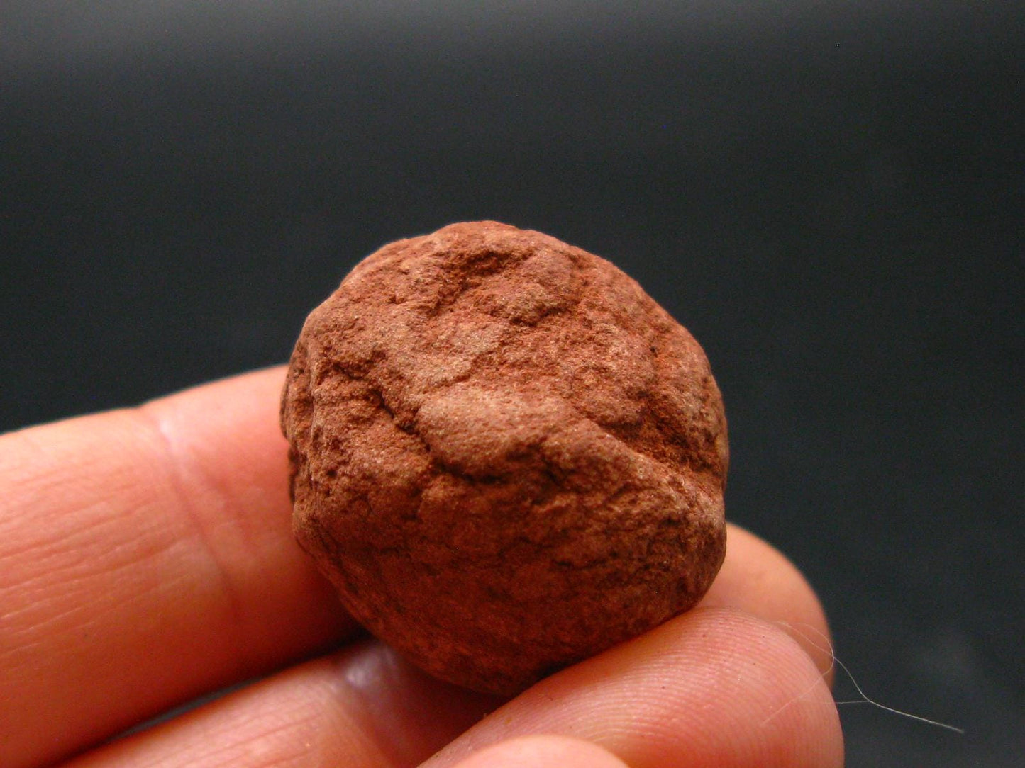 Rare Sedonalite Vortex Shaman Stone From Sedona Arizona - 0.9" - 12.52 Grams