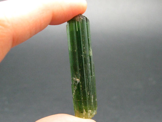 Green Tourmaline Crystal From Brazil - 1.6" - 36.35 Carats