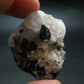 Fine Black Tourmaline In Quartz Crystal From Brazil - 1.8"