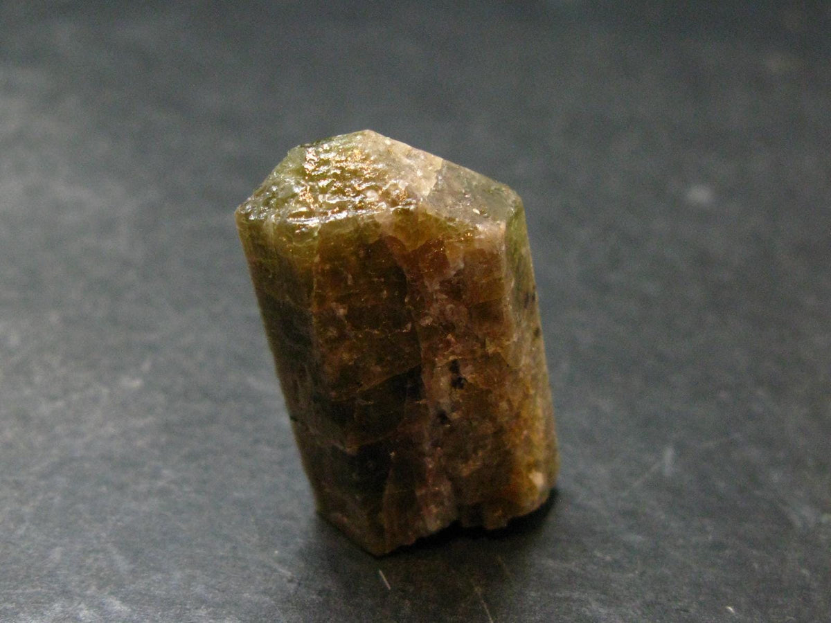 Green Apatite Crystal From Canada - 1.3" - 16.67 Grams