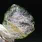 Rare Watermelon Tourmaline Crystal Slice From Brazil - 4.65 Carats
