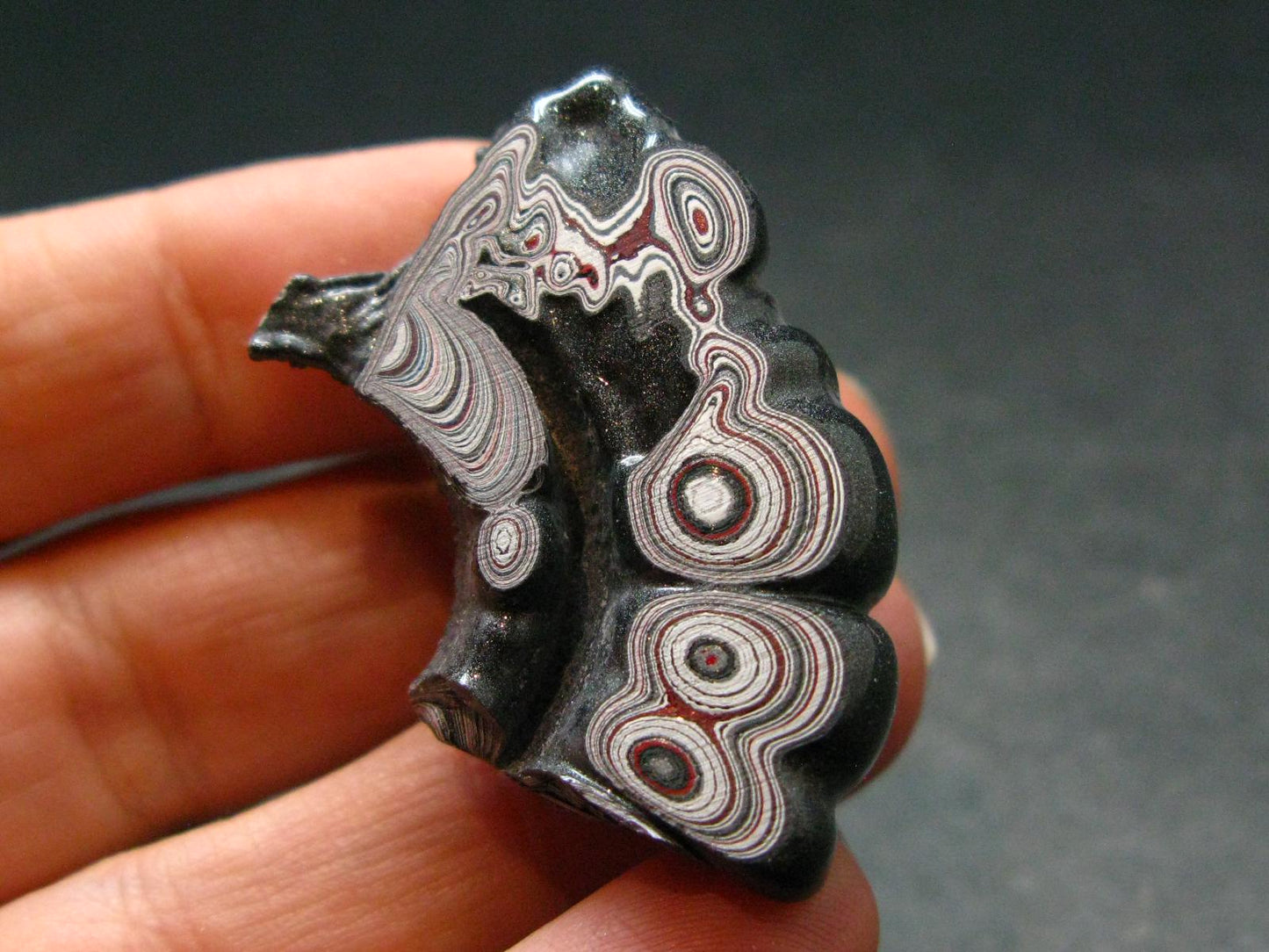 Very Cool Fordite "Detroit Motor City Agate" from Michigan - 1.5"- 7.51 Grams