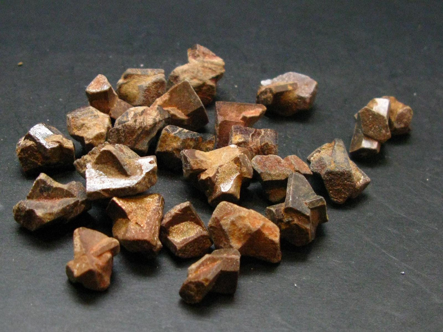 Lot of 25 Perfect Staurolite Crystals from USA - 53.45 Grams