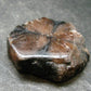 Andalusite Chiastolite Crystal From China - 1.4" - 20.82 Grams