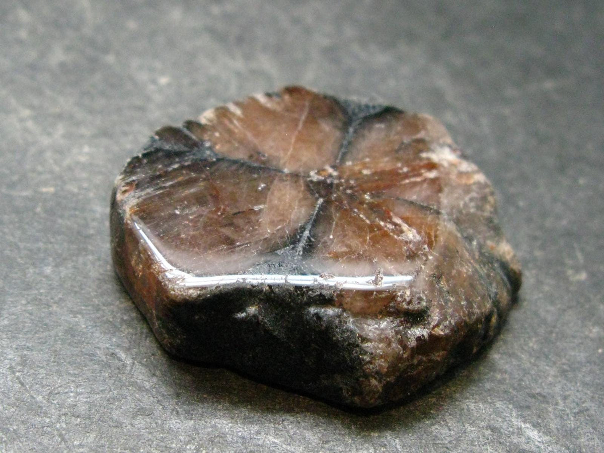 Andalusite Chiastolite Crystal From China - 1.4" - 20.82 Grams