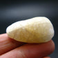 Very Nice Raw Agni Gold Danburite Tumbled Stone from Tanzania - 1.3" - 14.67 Grams