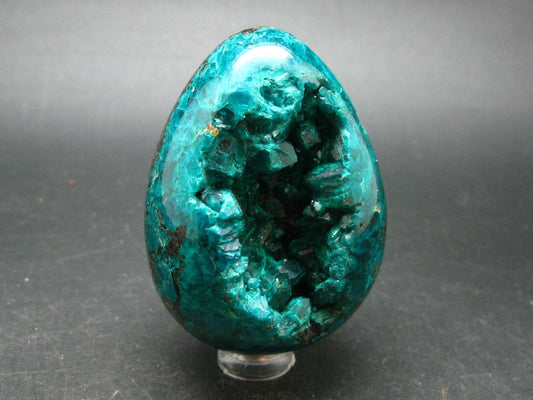 Very Rare Large Dioptase Egg From Congo - 2.7"