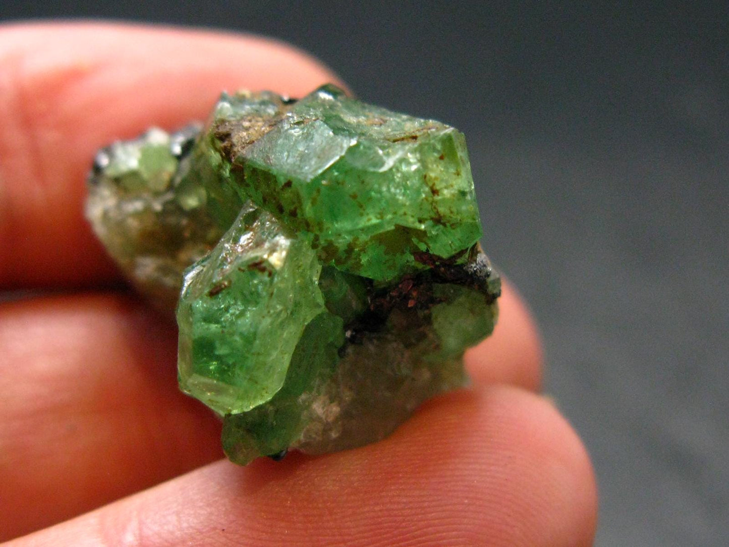 Gem Tsavorite Tsavolite Garnet Crystal From Tanzania - 47.20 Carats - 0.8"
