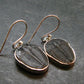 Trilobite Silver Earrings from USA - 1.3" - 4.38 Grams