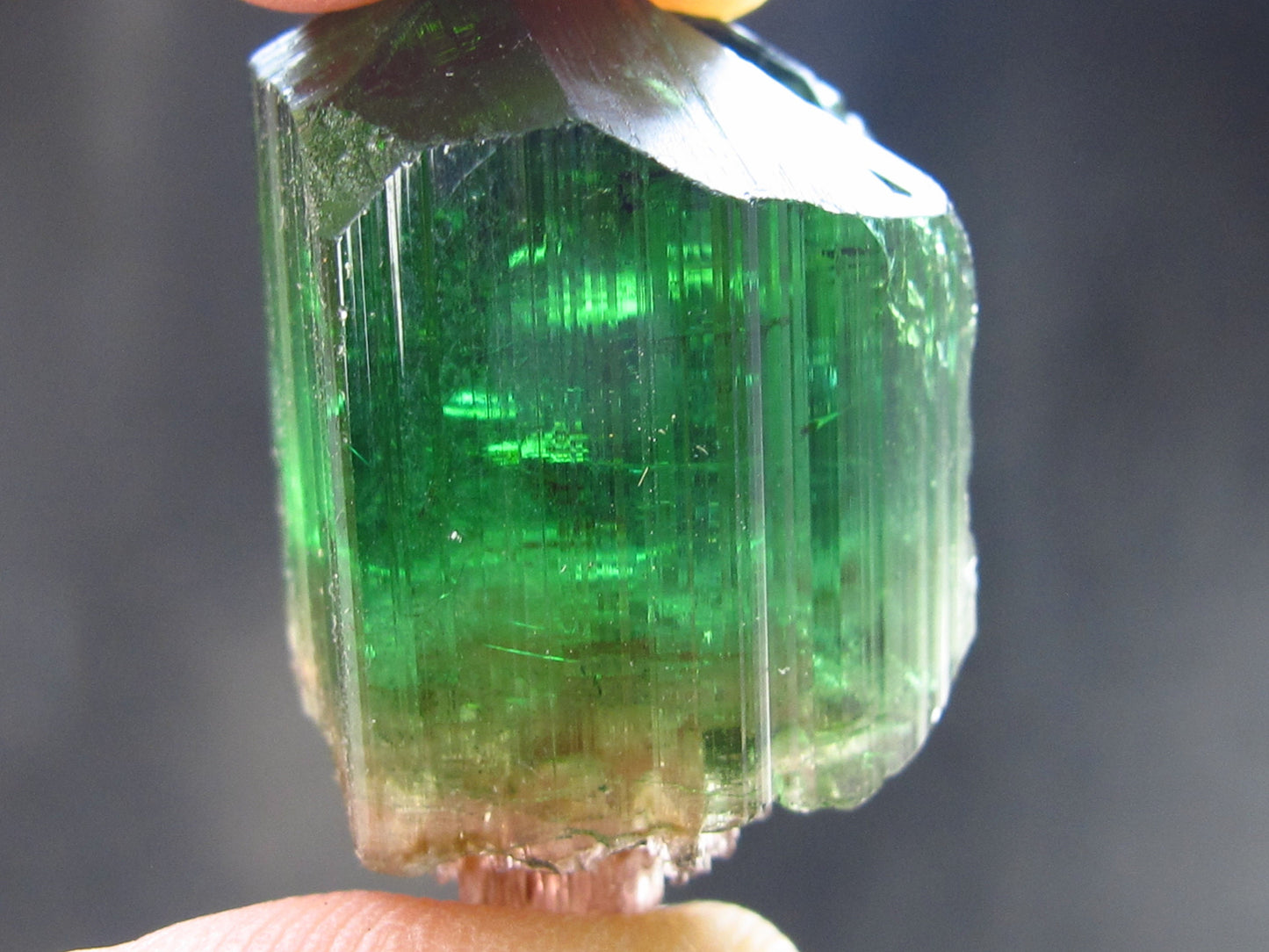 Rare Watermelon Tourmaline Crystal From Brazil - 1.0" - 49.55 Carats
