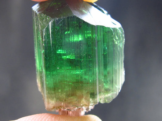Rare Watermelon Tourmaline Crystal From Brazil - 1.0" - 49.55 Carats