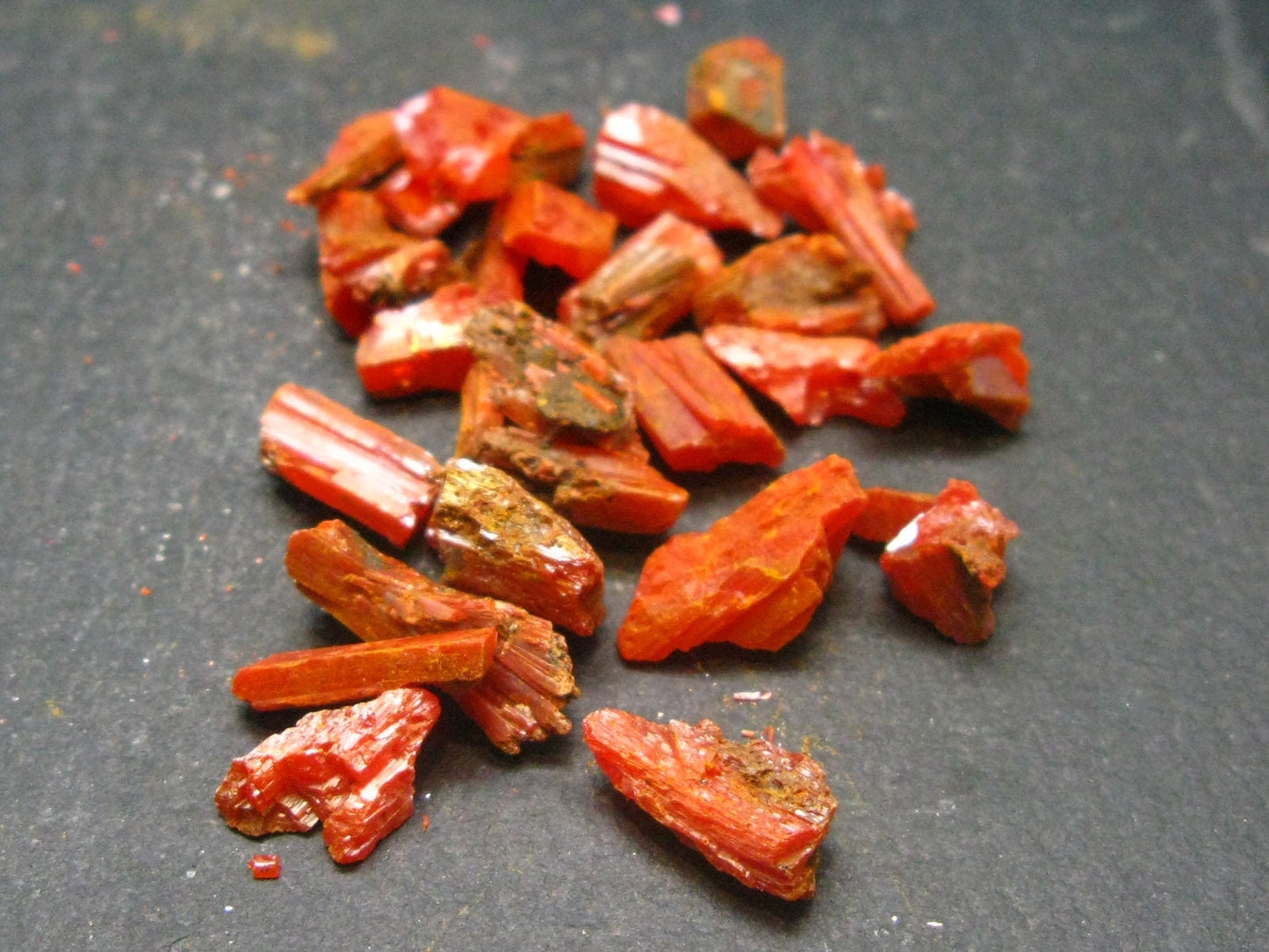 Lot of 25 Orange Crocoite Crystals From Australia