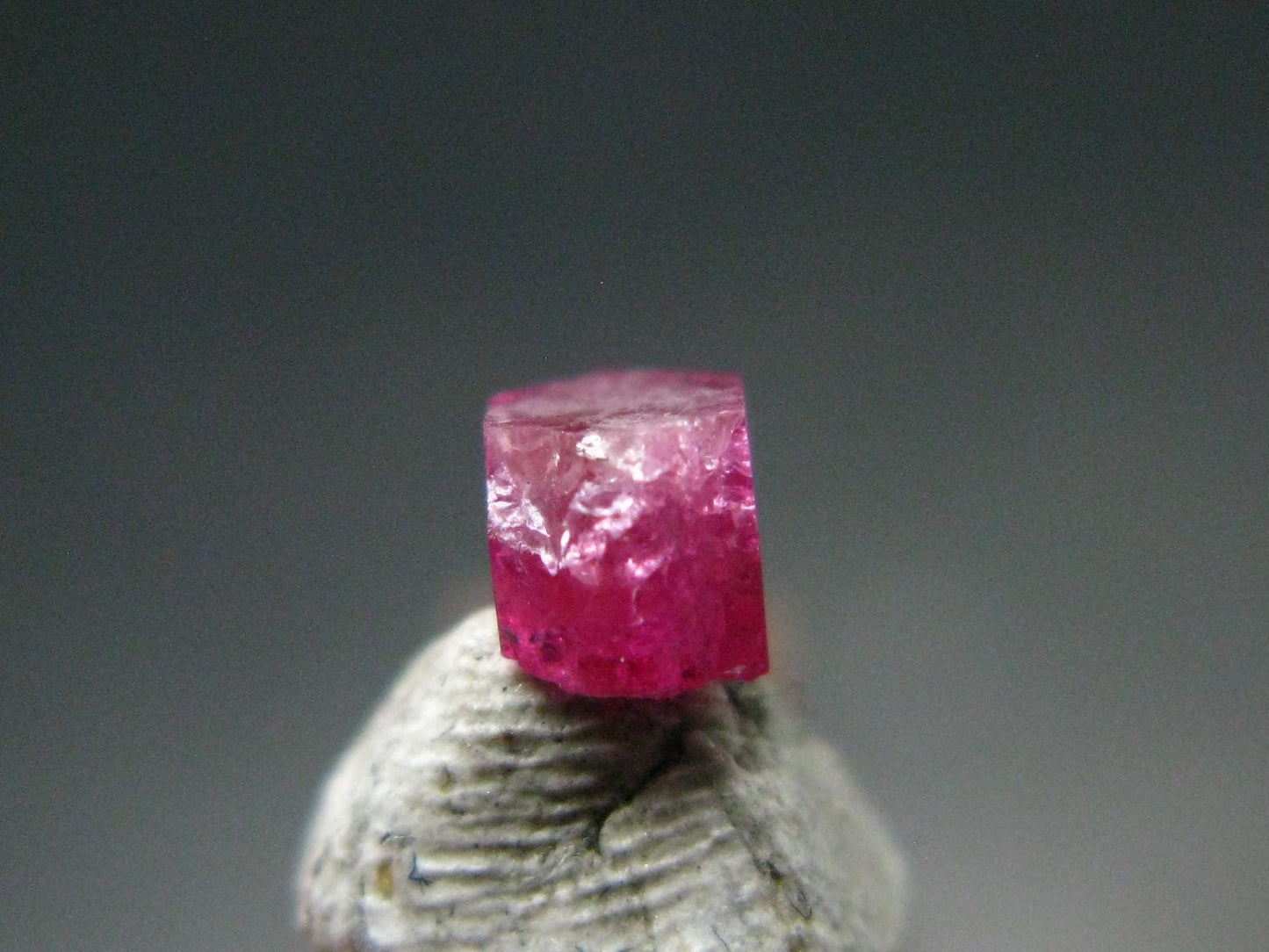 Nice Rare Gem Bixbite Red Emerald Beryl Crystal From Utah USA - 0.35 Carats