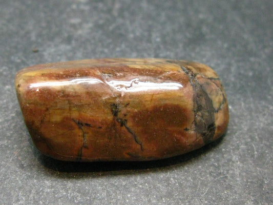 Rare Bustamite Tumbled Stone from South Africa - 1.3" - 14.31 Grams