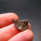 Sikhote Alin Meteorite From Russia - 2.60 Grams - 0.6"